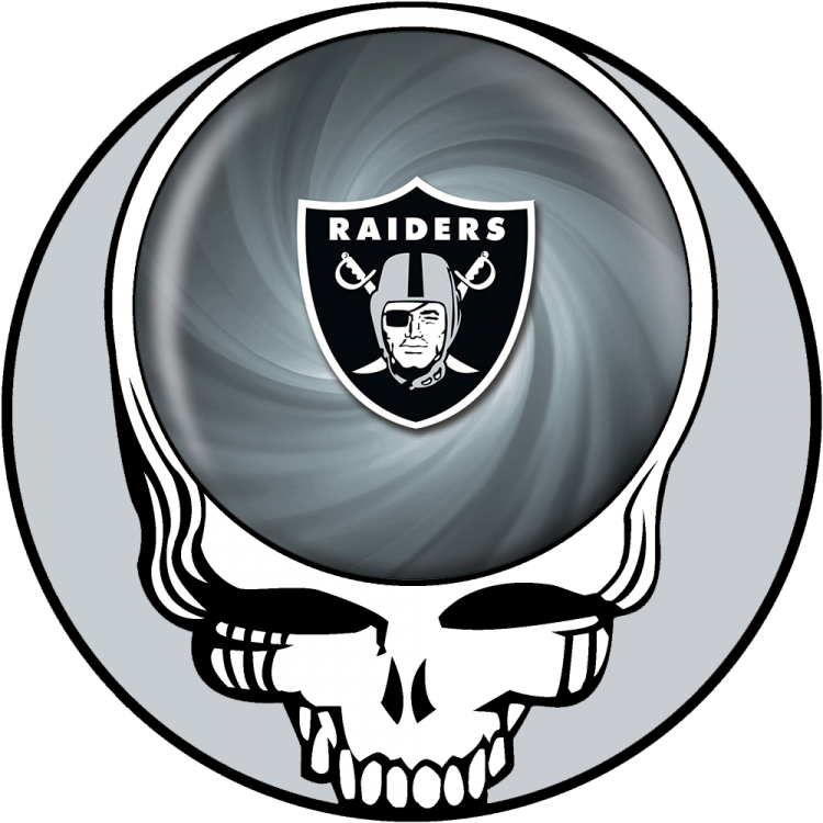 Oakland Raiders skull logo iron on transfers